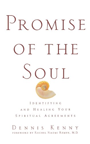 9780471418337: Promise Of The Soul: Identifying and Healing Your Spiritual Agreements
