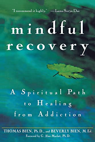 9780471442615: Mindful Recovery