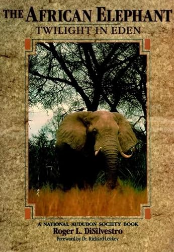 The African Elephant. Twilight in Eden
