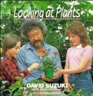 Beispielbild fr Looking at Plants (David Suzuki's Looking at Series) zum Verkauf von Wonder Book