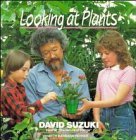 9780471540496: Looking at Plants