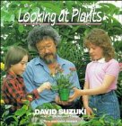 9780471547488: Looking at Plants (David Suzuki's Looking at Series)