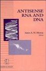9780471561309: Antisense RNA and DNA (Modern Cell Biology)