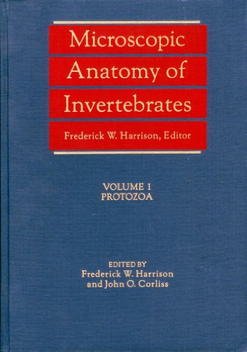 Stock image for Hemichordata, Chaetognatha, and the Invertebrate Chordates for sale by COLLINS BOOKS