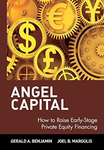 Beispielbild fr Angel Capital: How to Raise Early-Stage Private Equity Financing zum Verkauf von More Than Words