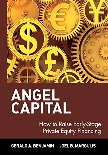Stock image for Angel Capital: How to Raise Early-Stage Private Equity Financing for sale by More Than Words