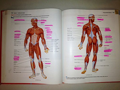 Beispielbild fr Introduction to the Human Body: The Essentials of Anatomy and Physiology zum Verkauf von Book Deals