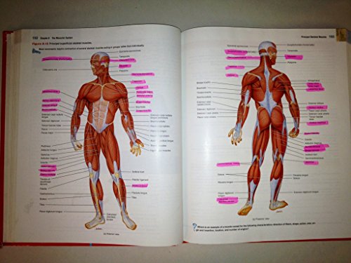 Stock image for Introduction to the Human Body: The Essentials of Anatomy and Physiology for sale by SecondSale