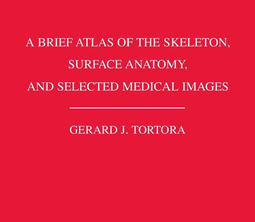 Stock image for A Brief Atlas of the Skeleton Surface Anatomy, and Selected Medical Images for sale by Your Online Bookstore