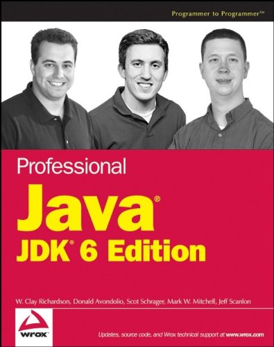 Stock image for Professional Java JDK 6 Edition for sale by HPB-Red