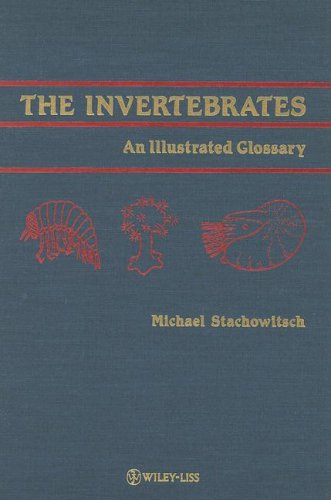 9780471832942: The Invertebrates: An Illustrated Glossary