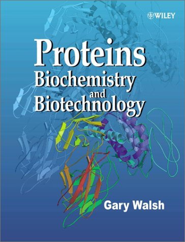 Beispielbild fr Protein : Biochemistry and Biotechnology zum Verkauf von Better World Books