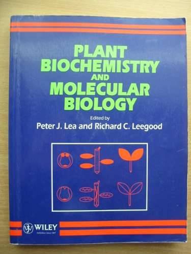Imagen de archivo de Plant Biochemistry and Molecular Biology a la venta por WorldofBooks