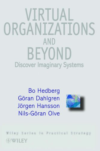 Stock image for Virtual Organizations and Beyond: Discovering Imaginary Systems (Wiley Series in Practical Strategy) for sale by BOOKWEST