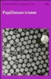 Stock image for Papillomaviruses (Novartis Foundation Symposia) for sale by WorldofBooks