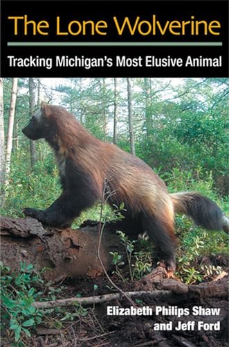 Stock image for The Lone Wolverine: Tracking Michigan's Most Elusive Animal for sale by Books of the Smoky Mountains