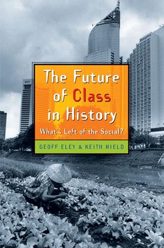 Imagen de archivo de The Future of Class in History: Whats Left of the Social? a la venta por BombBooks