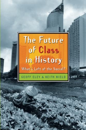 Stock image for The Future of Class in History: Whats Left of the Social? for sale by BombBooks