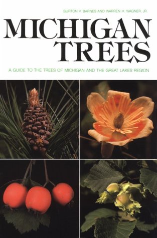 Stock image for Michigan Trees : A Guide to the Trees of Michigan and the Great Lakes Region for sale by Better World Books