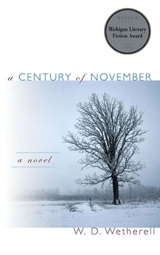 Stock image for A Century of November: A Novel (Michigan Literary Fiction Awards) for sale by Ravin Books