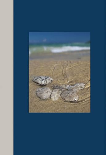 Michigan Journals--Petoskey Stones (9780472114467) by Wilde, William H.