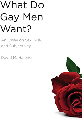 Beispielbild fr What Do Gay Men Want?: An Essay on Sex, Risk, and Subjectivity zum Verkauf von HPB-Diamond