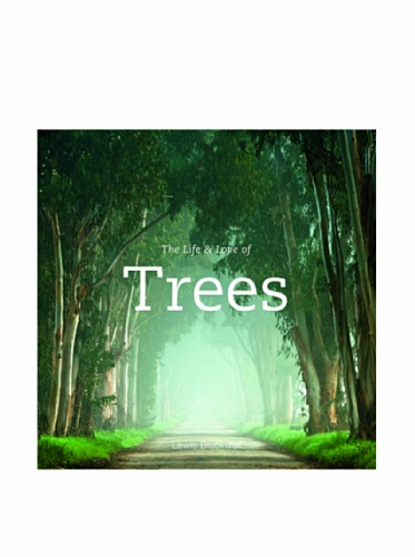 9780473150952: The Life & Love of Trees