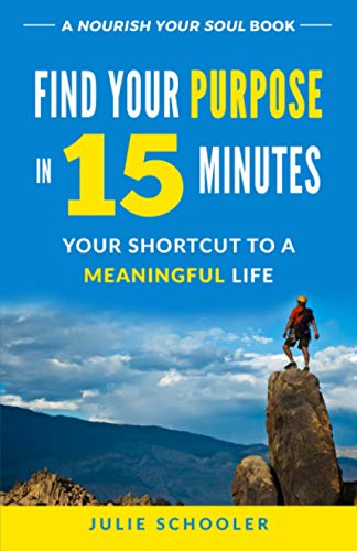 Stock image for Find Your Purpose in 15 Minutes: Your Shortcut to a Meaningful Life (Nourish Your Soul) for sale by WorldofBooks