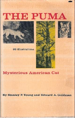 Stock image for Puma: Mysterious American Cat for sale by Les Livres des Limbes