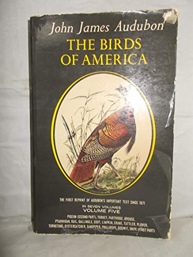 Beispielbild fr The Birds of America (Volume 5) zum Verkauf von ThriftBooks-Dallas