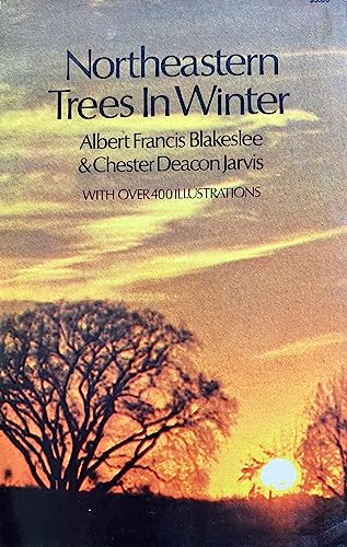 Imagen de archivo de Northeastern Trees in Winter a la venta por Better World Books