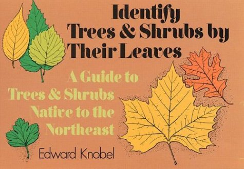 Beispielbild fr Identify Trees and Shrubs by Their Leaves zum Verkauf von Wonder Book