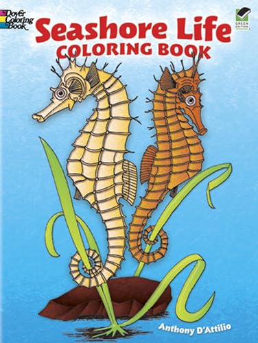9780486229300: Seashore Life Coloring Book