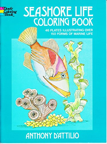 9780486229300: Seashore Life Coloring Book