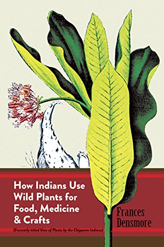 Imagen de archivo de How Indians Use Wild Plants for Food, Medicine and Crafts a la venta por gwdetroit