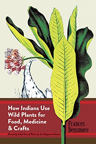 Stock image for How Indians Use Wild Plants for Food, Medicine and Crafts for sale by Wonder Book