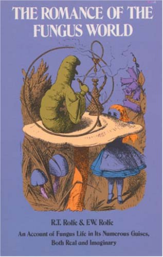 Stock image for The Romance of the Fungus World for sale by GF Books, Inc.
