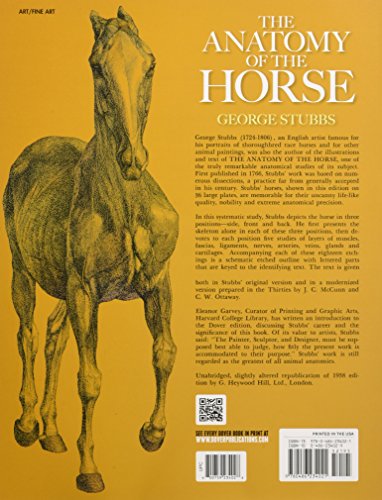 Stock image for The Anatomy of the Horse (Dover Anatomy for Artists) for sale by Roundabout Books