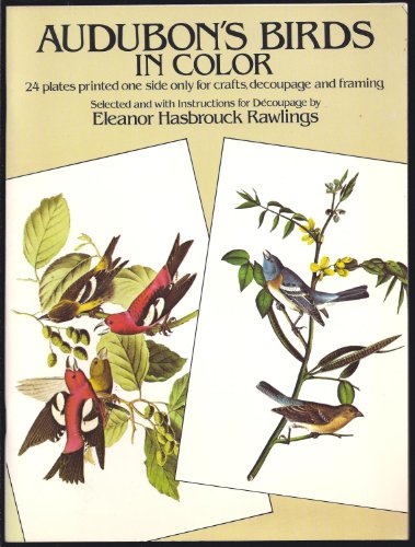 Imagen de archivo de Audubon's Birds in Color a la venta por ThriftBooks-Dallas