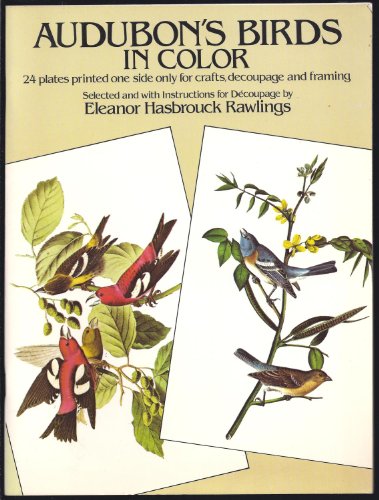 Audubon's Birds in Color for Decoupage.