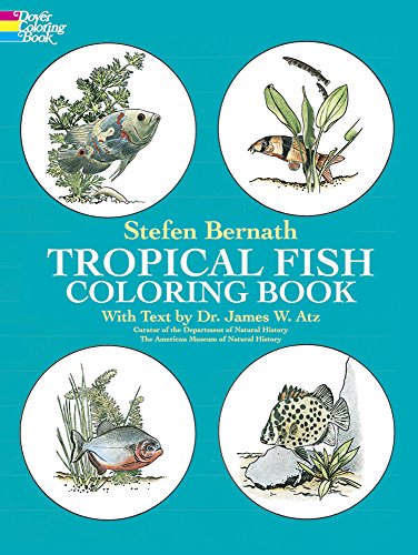 Beispielbild fr Tropical Coloring Book zum Verkauf von Blackwell's