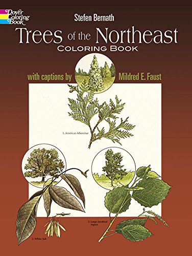 Stock image for Trees of the Northeast Coloring Book (Dover Nature Coloring Book) for sale by SecondSale