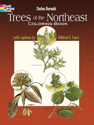 9780486237343: Trees of the Northeast Coloring Book (Dover Nature Coloring Book)