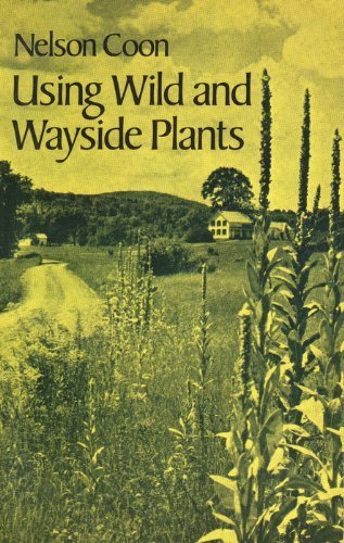 Stock image for Using Wild and Wayside Plants for sale by Wonder Book