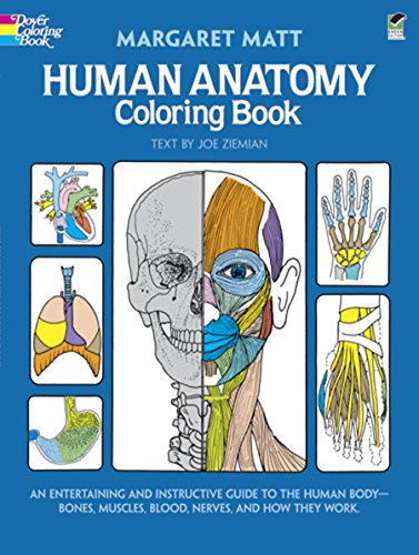 Stock image for Human Anatomy Coloring Book: an Entertaining and Instructive Guide to the Human Body - Bones, Muscles, Blood, Nerves and How They Work (Coloring Books) (Dover Children's Science Books) for sale by Gulf Coast Books