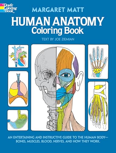 Stock image for Human Anatomy Coloring Book: an Entertaining and Instructive Guide to the Human Body - Bones, Muscles, Blood, Nerves and How They Work (Coloring Books) (Dover Children's Science Books) for sale by Gulf Coast Books