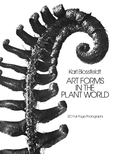 Stock image for Art Forms in the Plant World Format: Paperback for sale by INDOO