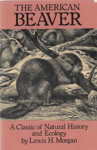 Beispielbild fr The American Beaver : A Classic of Natural History and Ecology zum Verkauf von Better World Books
