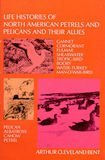 9780486255255: Life Histories of North American Petrels and Pelicans and Their Allies