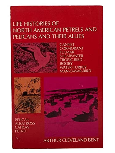 Stock image for Life Histories of North American Petrels and Pelicans and Their Allies for sale by ThriftBooks-Atlanta